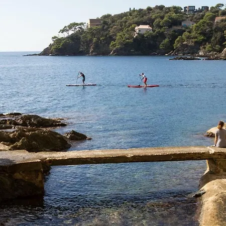 Pensionat Le Cube Design A Avec Piscine Et Cuisine Hyères